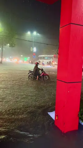 long an những ngày mưa 🌧️🌧️🌧️ #bếnlức #longan #yt 