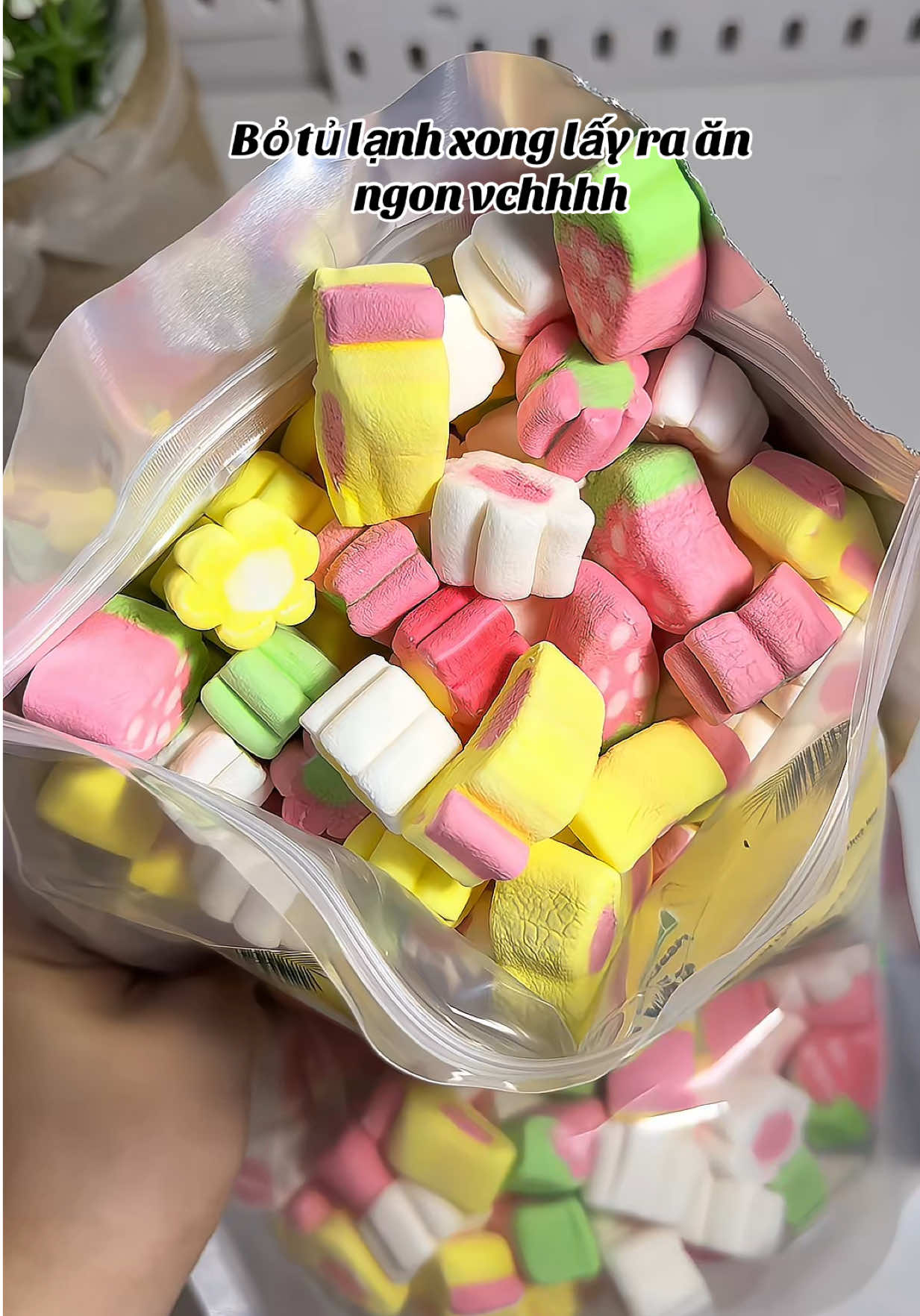 Marshmallow nhìu màu nhìu vị ngon xinh quãi chưởng  #xh #marshmallow #keomarshmallow #tiemanvatthuybui 