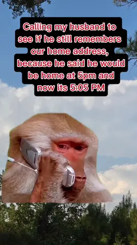 #CapCut #bluecollarwife #sahm #viral  #tiktok 