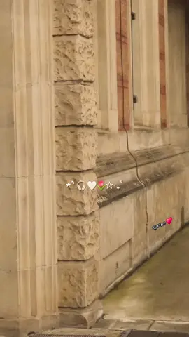 #يوم_الماشوفك_ماريد_عيوني🥺🤍 #♥️ #منشن_لشخص_تهديه_هيك_هدية♥️😍 #إكسبلور؛🔥 #fypシ゚viral🖤tiktok☆♡🦋myvideo 