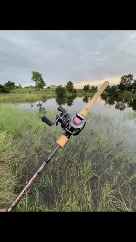 ปลาอยู่ไหนครับเนี้ย… #ตีเหยื่อปลอม🎣 #จั๊กแหล่วโคราช #หมายธรรมชาติ #ตีจิบปลากราย #HAZON 