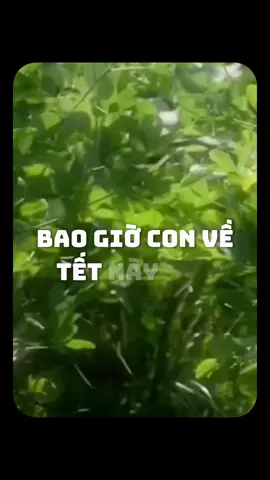Bao giờ con về.. #podcast #camxuc #yeuthuong #tamsu #nhungdieuchuanoi 