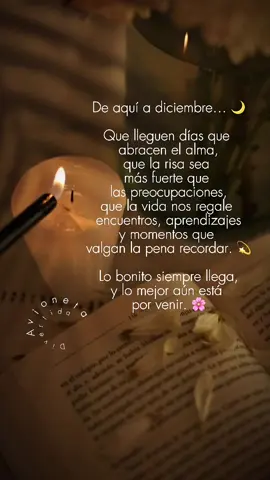 Que de aquí a diciembre nos sorprenda la vida con abrazos sinceros, risas inesperadas y momentos tan bonitos que se conviertan en recuerdos eternos. #reflexionesdiarias #avioneta_divertida #diciembre2025 