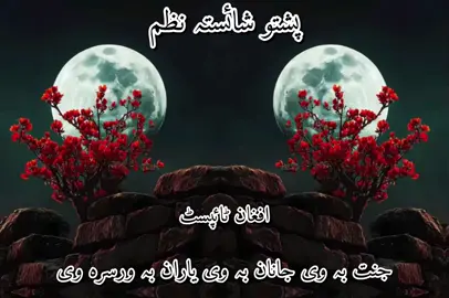 جنت بہ وی جانان۔ بہ وی یاران۔ بہ ورسرہ وی#pashtonazam🥀 #ternding_video #plzunpreezmyaccount🙏🙏🙏 #Afghantypist #foryoupage❤️ #tiltokviral #foryou #پشتون_تاجیک_هزاره_ازبک_زنده_باد 