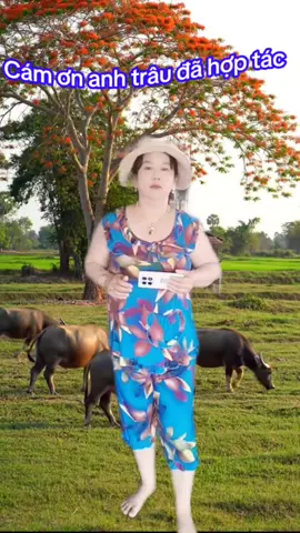 Mến  chúc cả nhà buổi tối thư giãn vui vẻ nhiều  tiếng cười nha🤣🤣🤣#giaitritiktok 