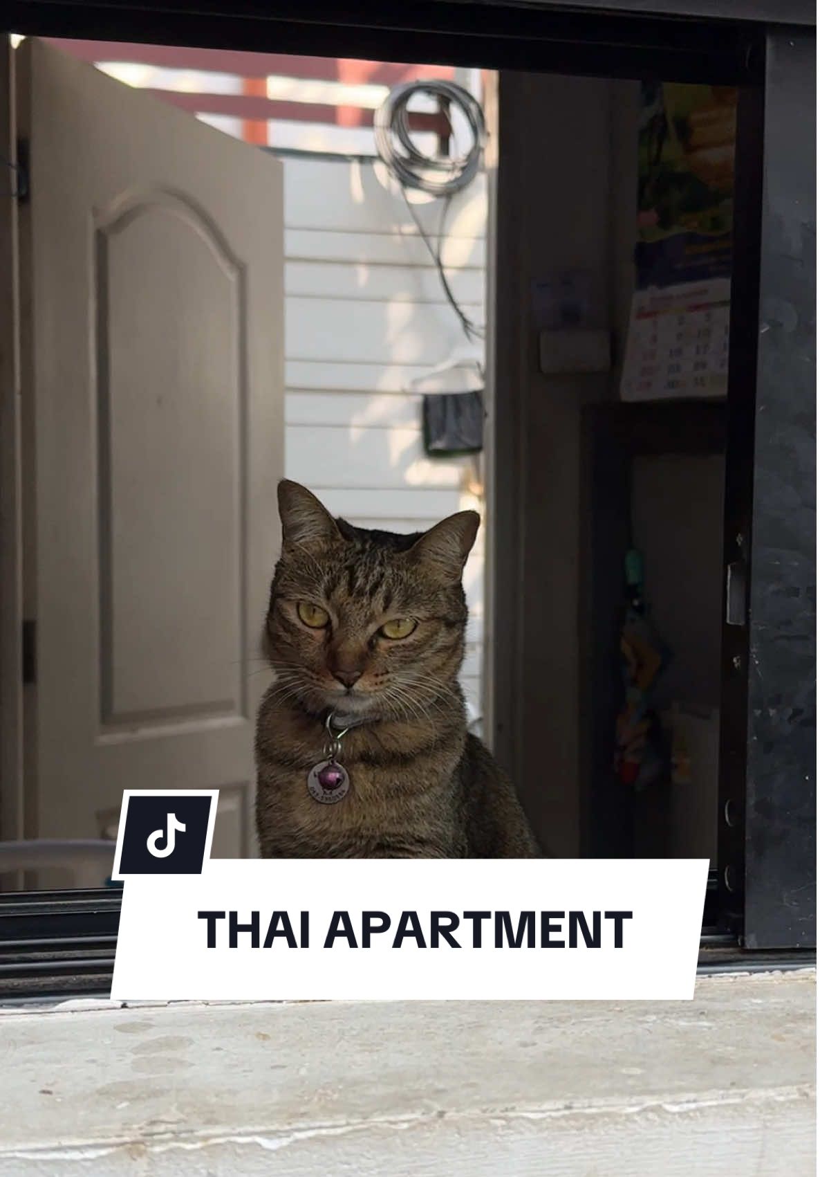 Welcome to my apartment in Thailand 😊 Here are some of my fav little quirks and things around my place. #liveinthailand #thailand #apartmenttour #liveabroad 