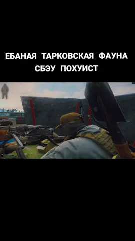 Релиз кстати скоро #tarkov #SBEY #СБЭУ #тарковскаяфауна 