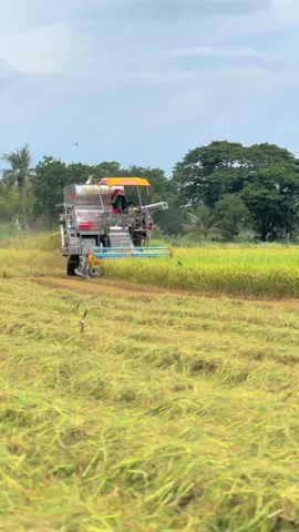 ตัวตนของคนจริง.🔰 #26 #ปานเจริญการช่าง #วัยรุ่นยุดยา #ฟีดดดシ💗 #หนุ่มรถเกี่ยวข้าว🌾 