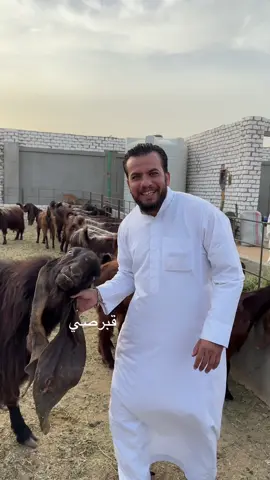 قبرصي وبور ❤️#fyp 