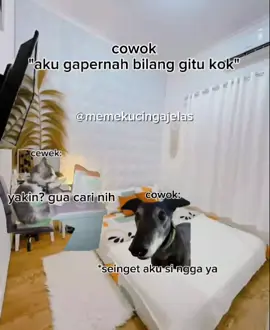 spek intel jgn dilawan😼 #kucinglucu #memecat #memekucing #fyp #pov #catmeme #kucingtiktok #kucinglucutiktok #kucinglucutiktok 