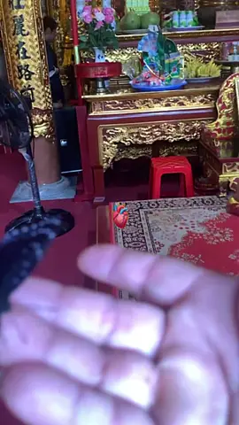 Nay anh về đền với bome và các đệ của anh. Chắc anh rất vui khi đc về đền với các người anh yêu quý🖤. #PTD #phantrongduong33 #tronggduongg33 #fyp #xuhuonggggggggggggggggg 