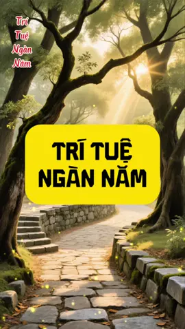 Khắc ghi tinh hoa trong tâm, lợi lạc sẽ theo suốt một đời #trituengannam #daogiao #nhogiao #phatgiao #trituenguoixua #docsachmoingay #loidayconhan