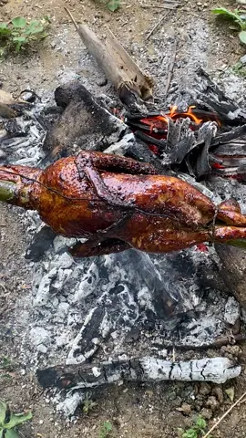 manganen 😋🤤 #letchonpato😋🦆🦆 #duck #pato #fyp 