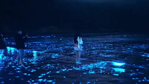 Khoảng thời gian đẹp nhất là khoảng thời gian không bao giờ trở lại được…