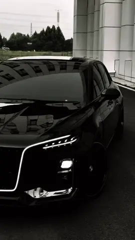 This Chinese luxury car is NEXT LEVEL 🚀 #HongqiH5 #Hongqi #LuxuryCar #DreamCar #CarTok 