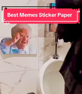 Best Sticker Memes      cardboard cutout Meme love it. #memes #memestiktok #stickermeme #funnyshorts #funnyvideos. are very old Papper Meles but I love them because of that the small compilation. OldButGold