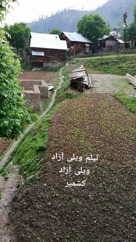 نیلم ویلی آزاد کشمیر #کشمیر #NeelumValley 