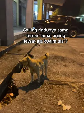 misal nya)#fypppppp) anak kalbar) kucing sarawak