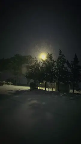 #tiktokviral  #tiktokazerbaycan🇦🇿  #uzaqlarda  #kesfetteyiz  #music 