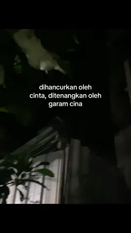 #selatannihbos🔥🤙 