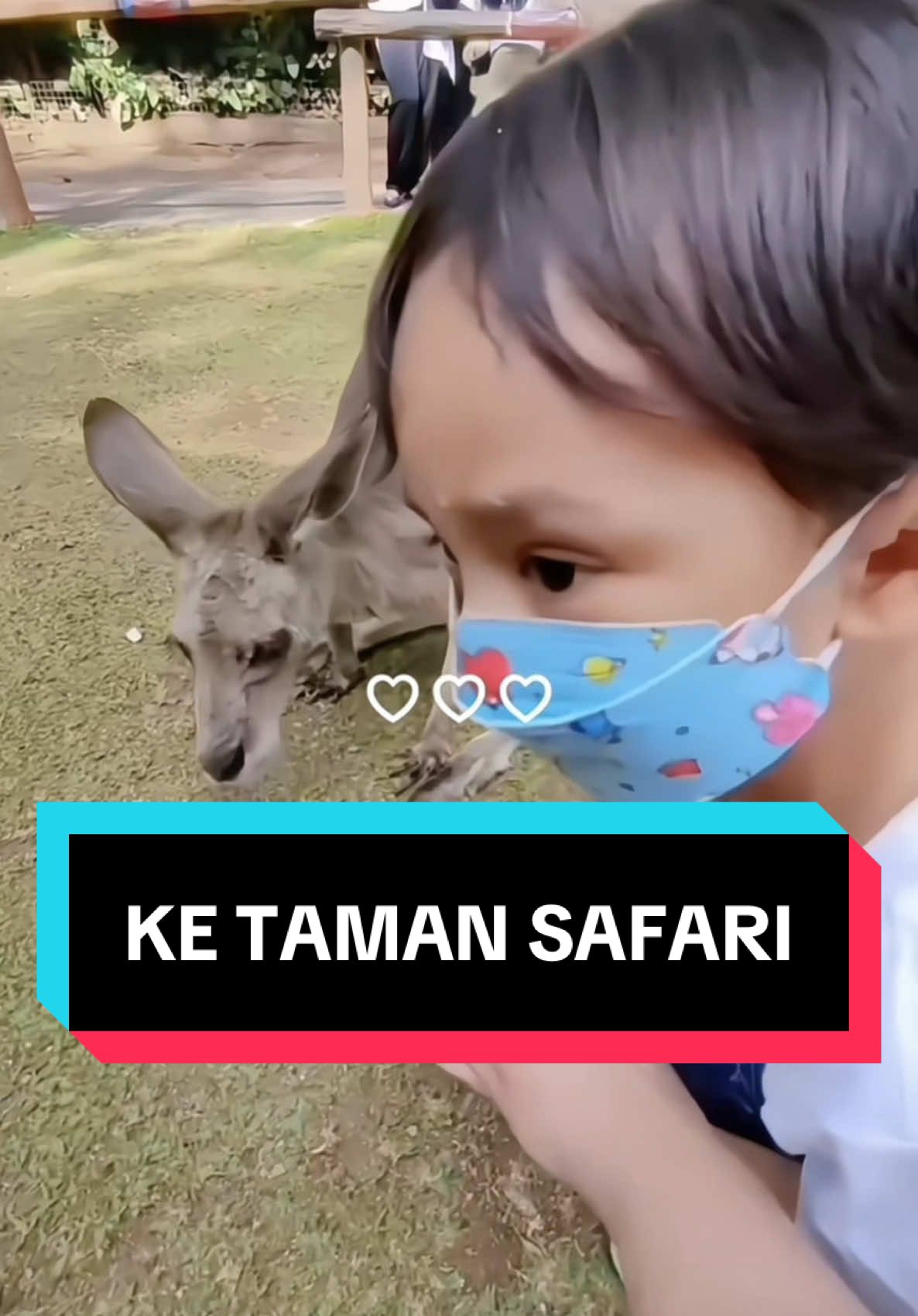 Liburan nggak harus jauh-jauh, cukup ke Taman Safari 🚗🦁 Bisa ketemu hewan liar, kasih makan langsung, sampai show seru buat keluarga. Tinggal pesen tiketnya lewat TikTok gampang & lebih hemat! Klik lokasi di video ini & SAVE biar gampang dishare ke temen liburan kamu 🐯📍 Hashtags: #liburanakhirpekan #tamansafariindonesia #healingbarengkeluarga #shortgetaway #widyapedia 