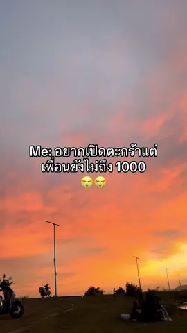 #เพิ่มเพื่อน #ติดตามมาติดตามกลับ #เทรนด์วันนี้tiktok #viraltiktok #fyppppppppppppppppppppppp #tiktokviral #tiktokshop 