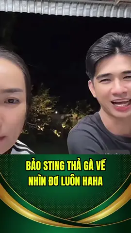 Bảo Sting thả gà về đơ luôn #baosting #baostingshop #daga #gada #xuhuong 