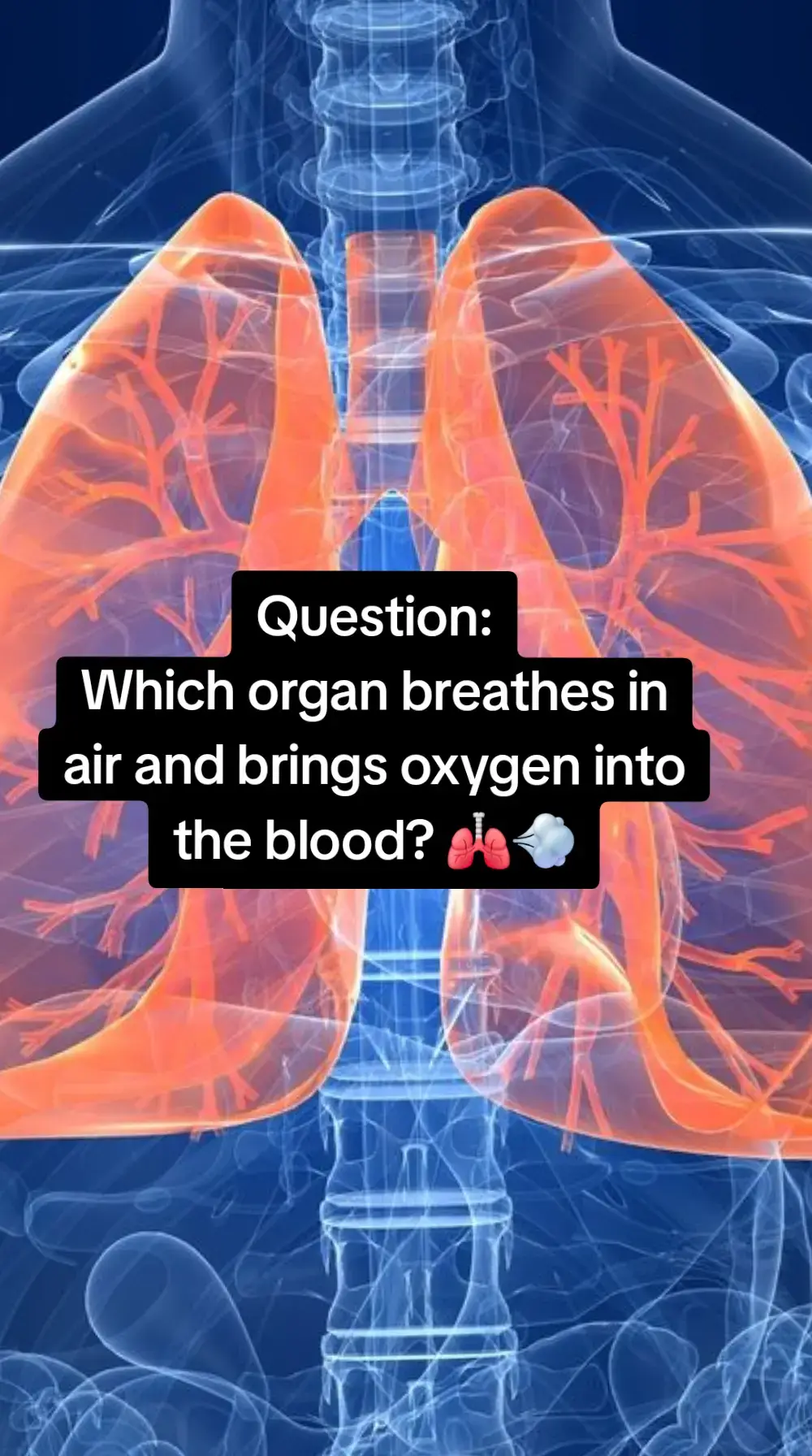 Question: Which organ breathes in air and brings oxygen into the blood? 🫁💨 Answer: 🫁 The lungs breathe in air and bring oxygen into the blood.