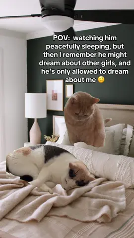 #Meme #bf #relationshipgoals #jealousy #funnymemes 