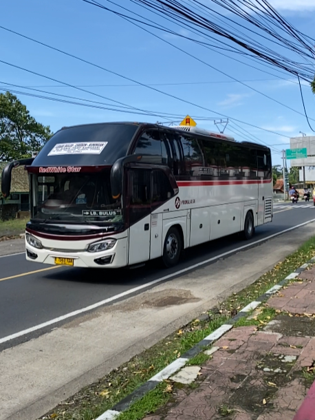 Bis primajasa mulai mendominasi trayek kuningan #primajasa #bisprimajasa #bismania