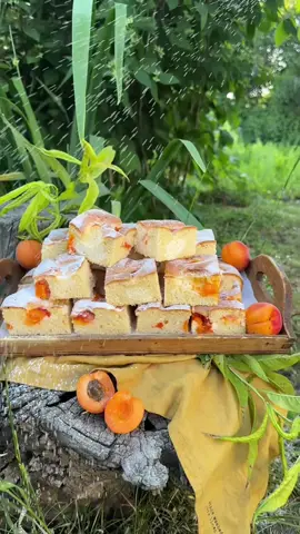 Túrós, sárgabarackos süti 🍑 Piskóta: 4 tojás, 150 g cukor, 100 ml tej, 100 ml étolaj, 250 g liszt, 1 csomag sütőpor (12 g), egy csipet só Túrókrém: 250 g túró, 1 tojás, 1-2 ek. búzadara, 2-3 ek. cukor, ½ citrom reszelt héja 6-8 sárgabarack  Először a túrókrémet készítjük el, amihez az összes hozzávalót egy tálba mérjük és kézi mixerrel alaposan összekeverjük. Félretesszük, amíg készül a tészta. A piskótához a tojások sárgáját 100 g cukorral fehéredésig habosítjuk, majd közben hozzáadjuk az olajat és a tejet. A száraz összetevőket beleszitáljuk és alaposan összekeverjük. A tojásfehérjéket elkezdjük felverni, majd a vége felé hozzáadjuk a maradék cukrot és kemény habbá verjük. Beleforgatjuk a tésztába. Sütőpapírral bélelt tepsibe öntjük és kisebb adagokban rákanalazzuk a túrókrémet. A sárgabarackokat negyedekre vágjuk és ezeket is eloszlatjuk a sütemény tetején. 170 fokos, légkeveréses sütőben kb. 25-30 perc alatt készre sütjük. Tűpróbával ellenőrizzük! #FoodTok #Recipe #mutimitsütsz #magyartiktok #baking 