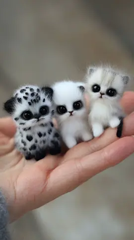 Part 2 | Fantastic unreal kittens! Rarest in the world and tiniest in their kind 😺🐱 #kitten #kittensoftiktok #catlover #kittycat #kitty    