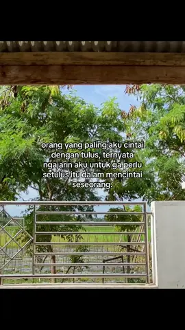 #simangalau #galaubrutal @m2store00 @bang man 