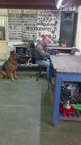 feliz jueves día de baño para leon.  #leon #perros #consejos #viral #bañarse 