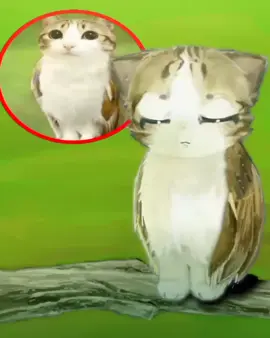 #meowowl #meowl #fanart #animation #eveweirdd