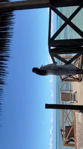 Looks like a dream✨