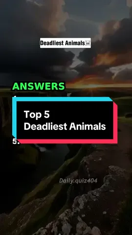 Top 5 Deadliest Animals In The World 🌍  #quiztime #top5 