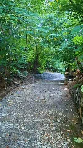 🌿🌿 #unfreezemyacount #plzunfrezemyaccount #fyppppppppppppppppppppppp #viralvideos #pashtopoetry @TiktokPakistanOfficial 