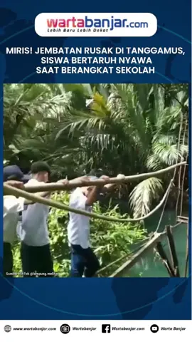 MIRIS! Jembatan Rusak di Tanggamus, Siswa Bertaruh Nyawa Saat Berangkat Sekolah WARTABANJAR.COM, Tanggamus – Sebuah video yang memperlihatkan siswa di Kabupaten Tanggamus, Lampung, menyeberangi jembatan gantung yang rusak parah demi berangkat ke sekolah, ramai beredar di media sosial. Dalam rekaman berdurasi sekitar satu menit tersebut, tampak sejumlah pelajar berseragam SMP berjalan perlahan meniti papan kayu jembatan yang sudah banyak lapuk dan hilang. Di bawah jembatan, aliran sungai deras menambah risiko bila ada yang terperosok. Jembatan gantung itu berada di Desa Tampang Muda, Kecamatan Pematang Sawa, dan menjadi akses utama menuju SMP Negeri 2 Pematang Sawa serta SMA Negeri 1 Pematang Sawa. Kondisi jembatan yang nyaris ambruk membuat warga terpaksa memutar jauh atau bahkan menyeberangi sungai. #jemabatangantung #tanggamus #lampung #viral #wartabanjar