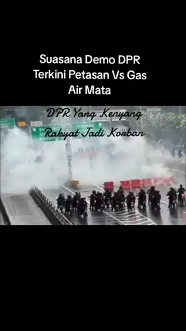 DPR Yang Kenyang Rakyat Jadi Korban. #dprasu  #dprri  #dpr  #fypシ゚  #fyppppppppppppppppppppppp  #indonesia🇮🇩 