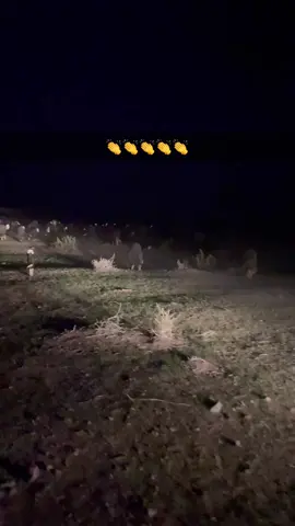 #اكسبلور #رفيحي_الساحل 