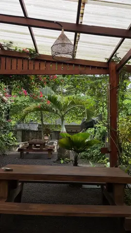 rekomendasi cafe lagiii🌱#lomboktimur 