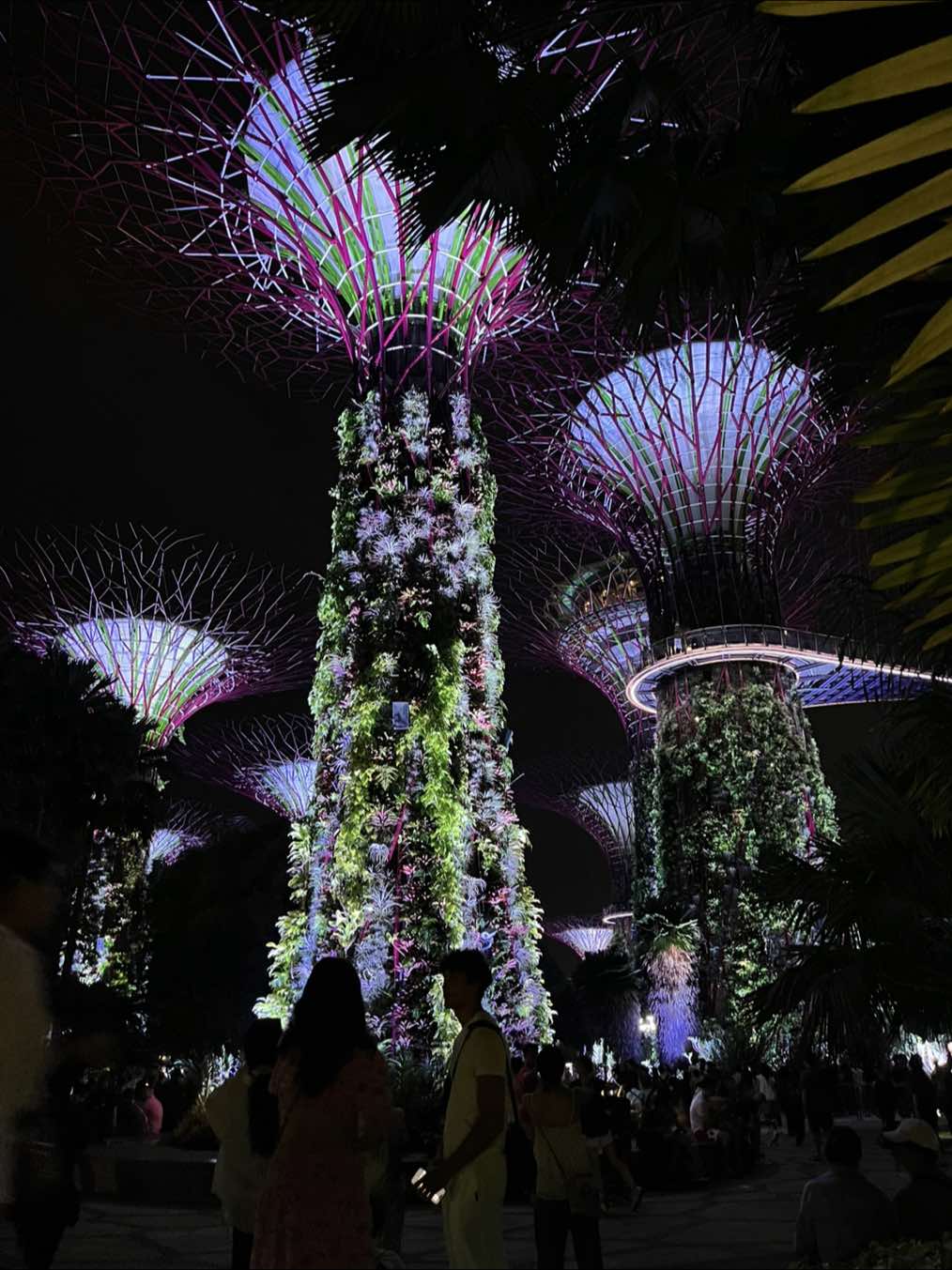 Garden Rhapsody by Gardens by the Bay✨ #gardensbythebay #supertreegrove #lightshow #exploresingapore #fyp 