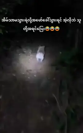 #တကယ်ပါ #ကြောက်လို့ပါဆို #ကြေကွဲလူငယ် 