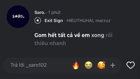 Gom hết tất cả về em xong rồi thiêu nhanh #_saro102 #lyrics #nhachaymoingay #xuhuong 