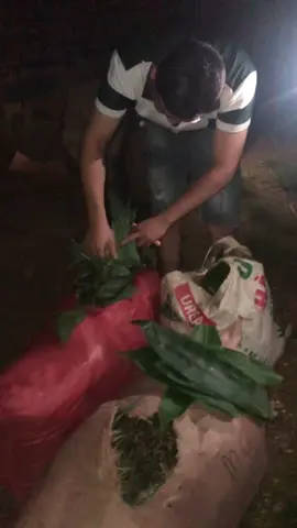 Tiền em kiếm gia là pôlime mà sao anh vứt của em đi #xuhuongtiktok2024❤️🌈✔️tym❤️💞tim #xuhuongtiktok2024🌹😍❤️💐☔MinhThien1990 #🌹🌹🌹🌹🌹🌹🌹🌹🌹🌹🌹🌹 