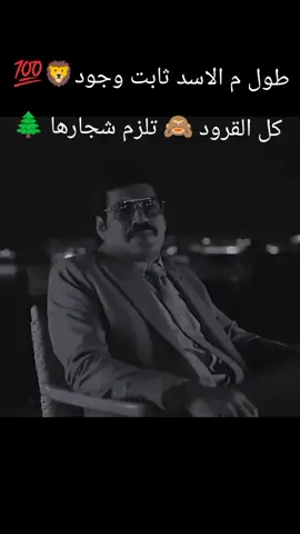 #CapCut #طول م الاسد ثابت وجود كل القرود تلزم شجارها #عصام صاصا #باسم سمره  #AmmarAboAlanin ❤☝