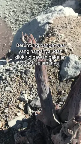 Karena gimana cara turunnya ke bawah kalo begitu #fypシ゚ #pendakigunung #storypendakigunung #sindoroviakledung #masukberanda 