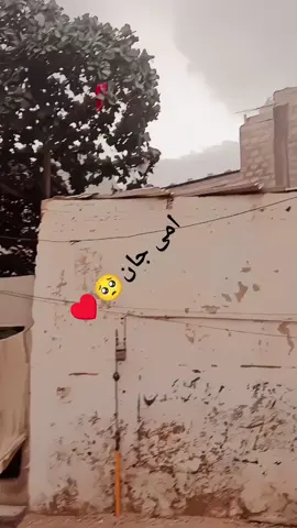 hyeee moor jan♥️🥺