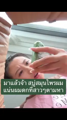 #สบู่สระผมจีน #สบู่ปลูกผม #สบู่สระผมเร่งผมยาว #สบู่สระผม #naturesevengreensoapshampoo 